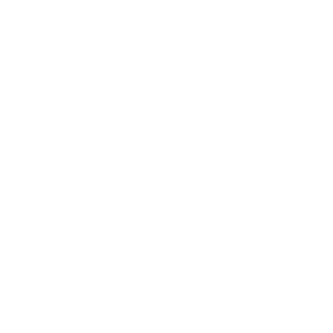 WINS Logo